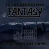 Tomas Bergsten's Fantasy - Caught in the Dark